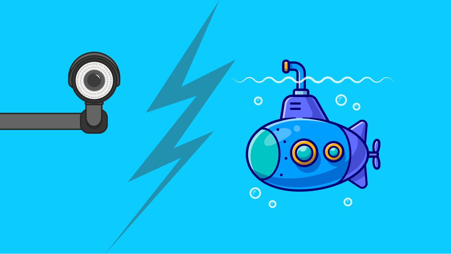 Den största informationsläckan i landets historia