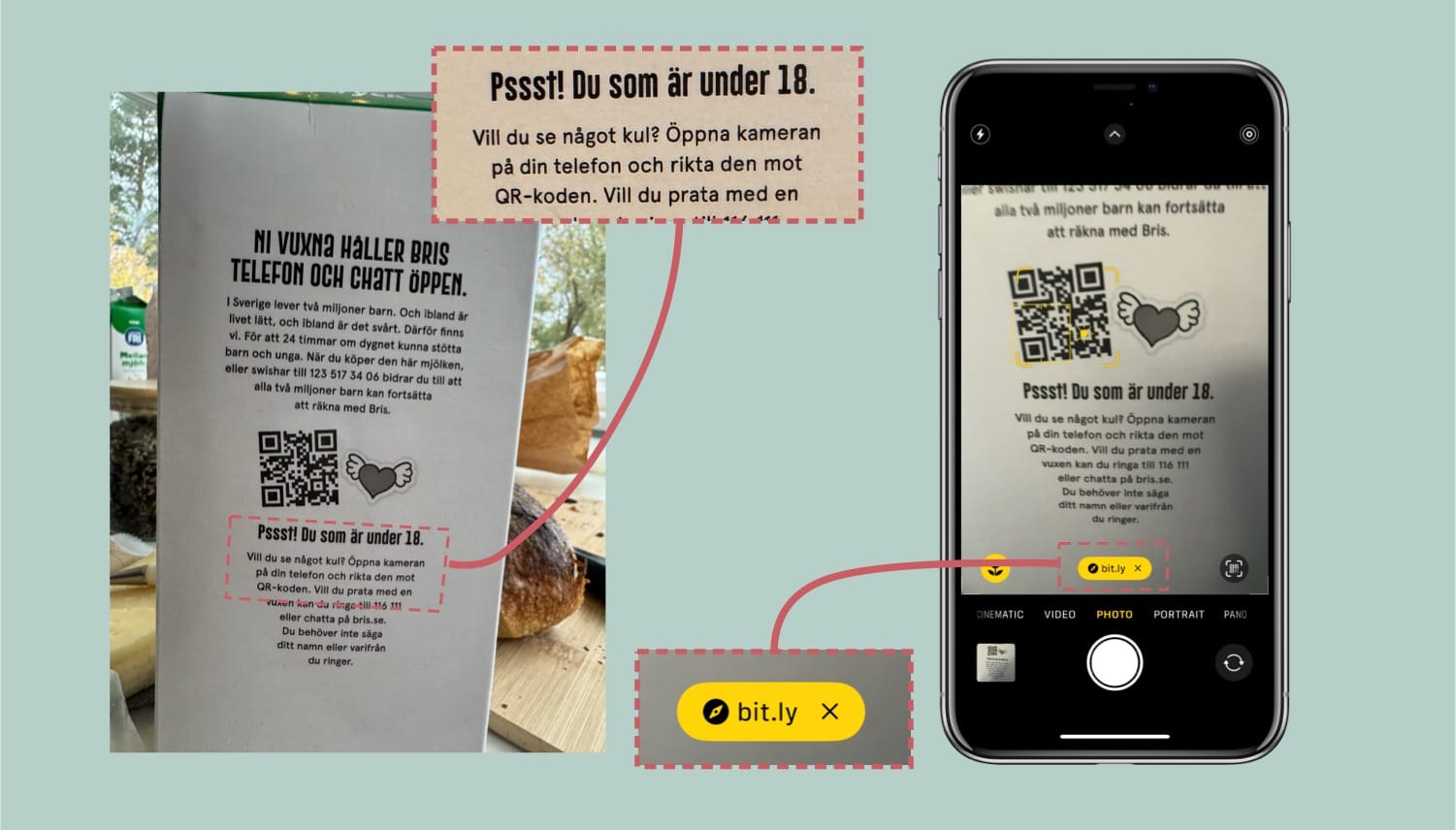 Bild som visar mjölkpaketet med QR-koden och en telefon där kortlänken bit.ly syns på skärmen när koden scannas.