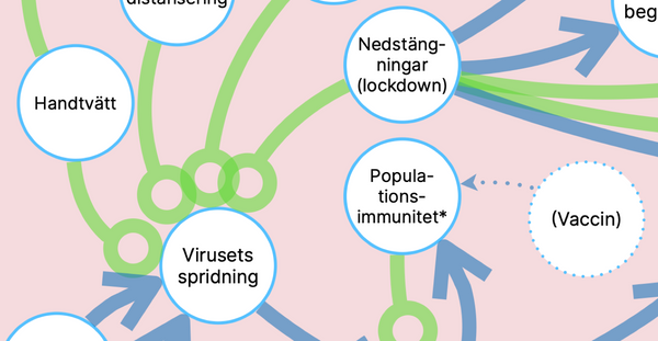 Komplexiteten i att hantera en pandemi